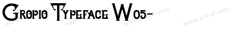 Gropio Typeface W05字体转换
